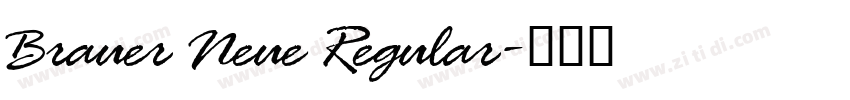 Brauer Neue Regular字体转换
